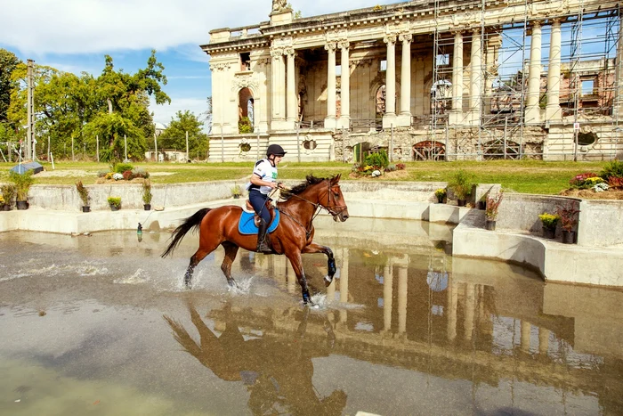 7 karpathia horse show 2019 1 jpg jpeg
