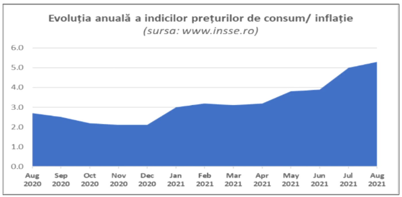 ins inflatie