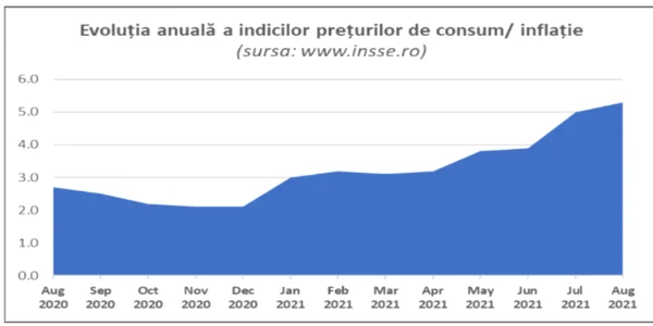 ins inflatie