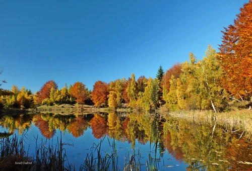 Lacul Goioasa, Muntii Tarcăului FOTO Ionel Codruț (7) jpg