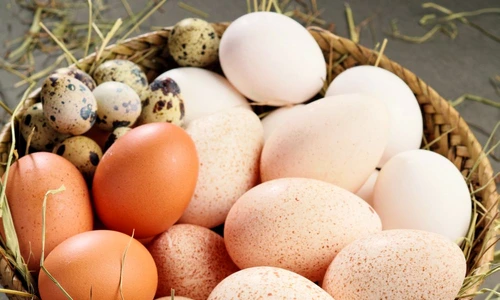 1 74393 original jpg jpeg