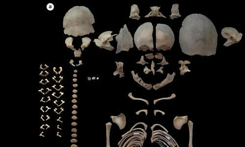 Foto: © Alirezazadeh and Bahranipoor 2026 / phys.org