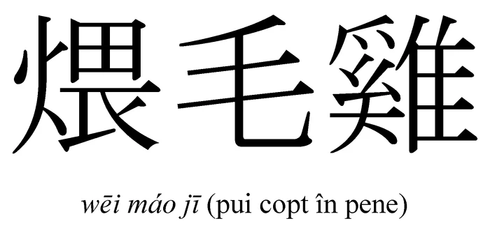 Pui la groapă jpeg