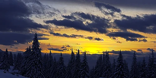 borsa foto fb borsa maramures romania jpg