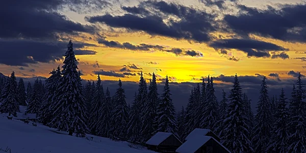 borsa foto fb borsa maramures romania jpg
