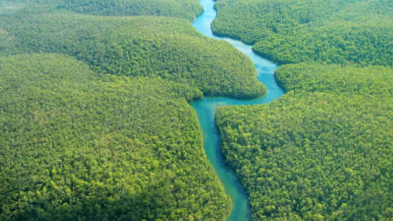jungla amazoniana
