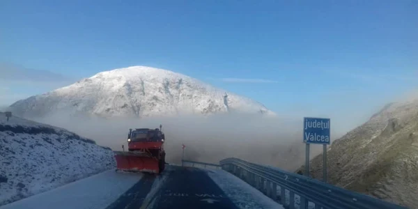 Transalpina 