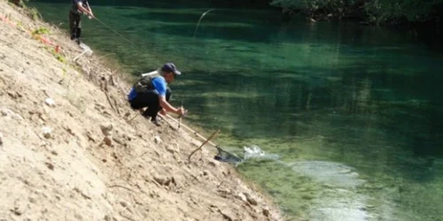 Braconierii prindeau peştele cu două plase (Foto: arhivă)