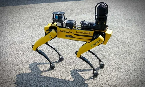 caini roboti jpg
