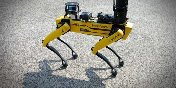 caini roboti jpg