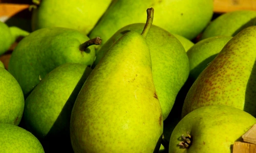 1 69115 original jpg jpeg