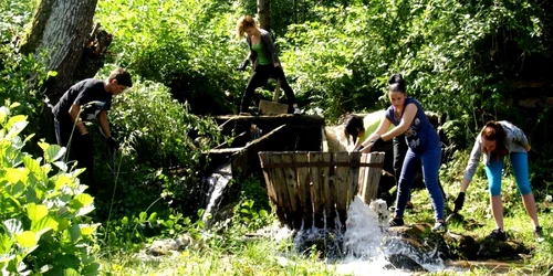O moară veche de un secol va fi refăcută de voluntari