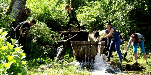 O moară veche de un secol va fi refăcută de voluntari