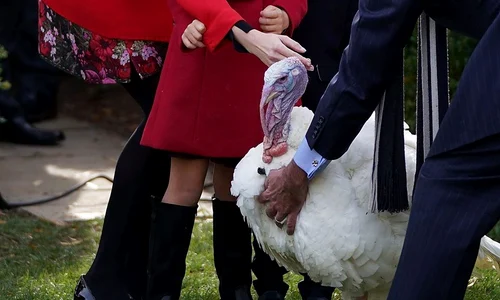 1 ivanka trump 1 jpg jpeg