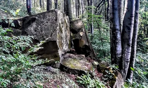 masa talharilor ionut haidau jpg
