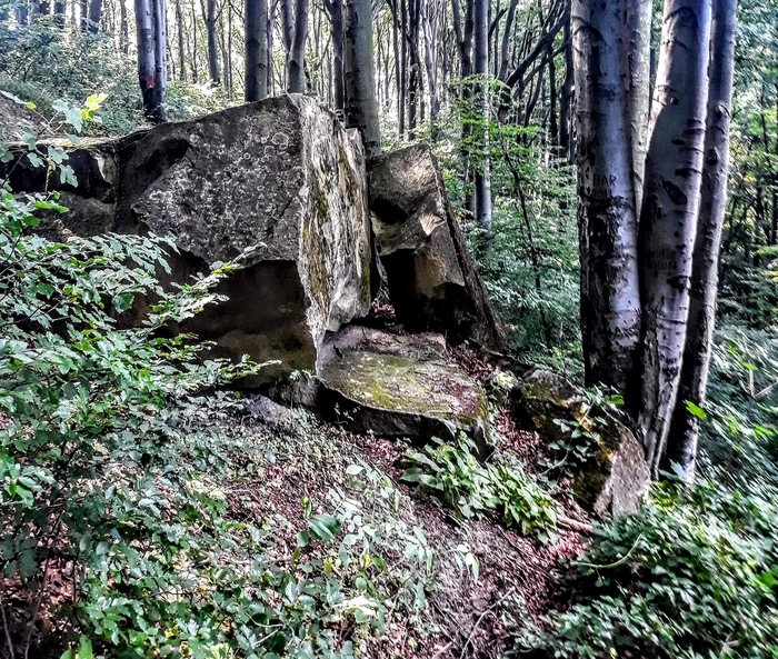 Locul blestemat din România Foto: Ionuț Haidau