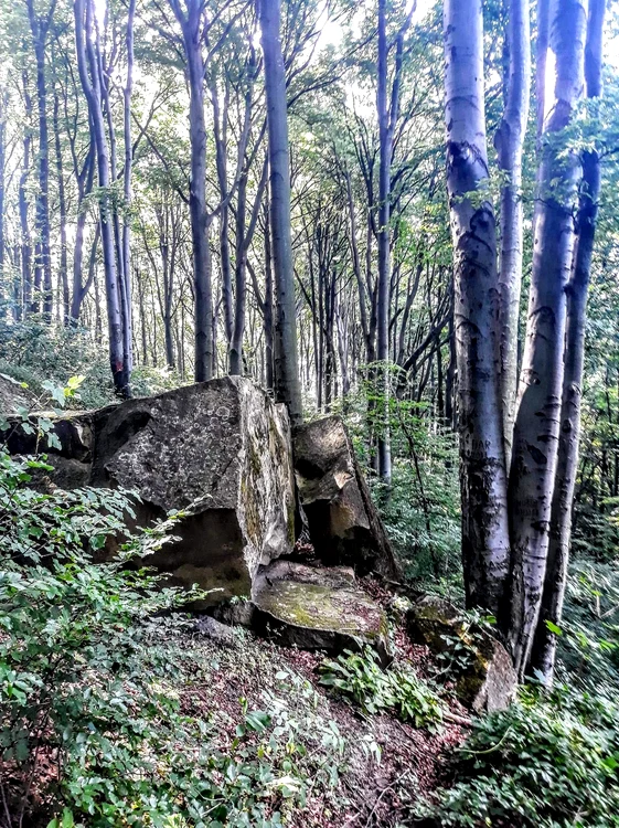 Masa Talharilor FOTO Ionuț Haidău