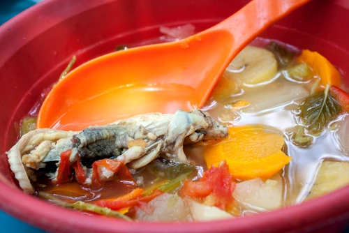 3 shutterstock 1162070449 jpg jpeg