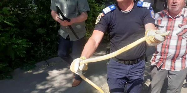 foto isu vaslui 1 jpg