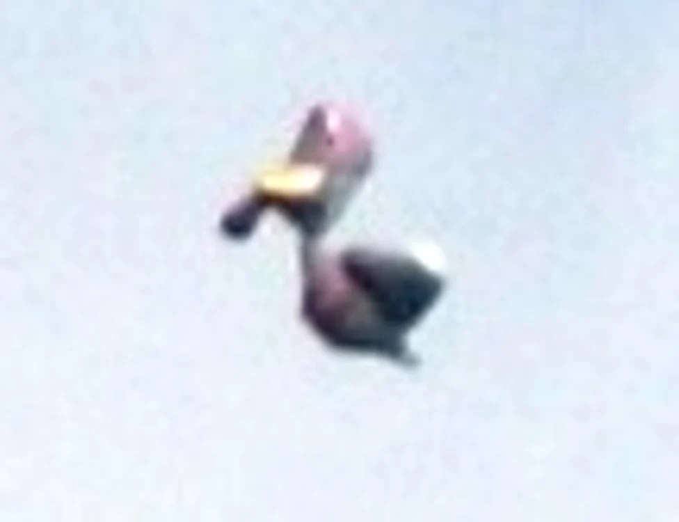 aviatorilor