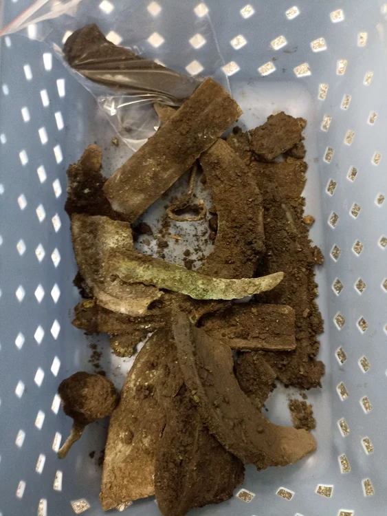 Tezaurul descoperit la Kojetín (© Archeologické centrum Olomouc)