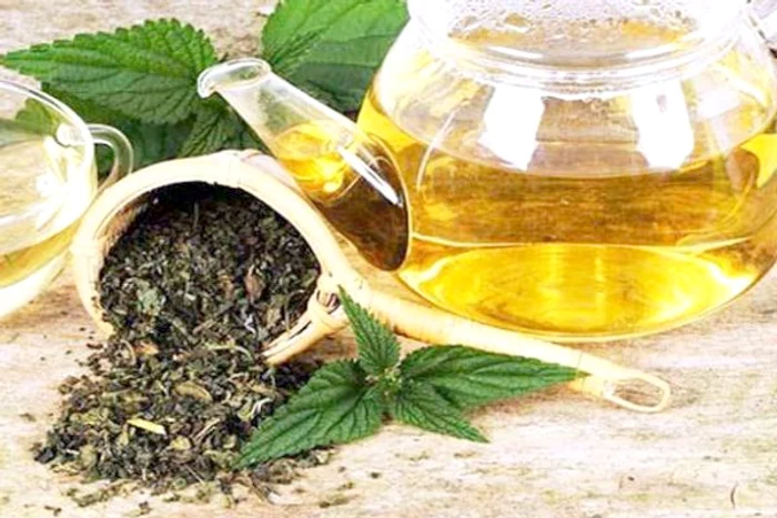 Deși urzica are o mulțime de beneficii asupra sănătății, fiind plină de vitamine și nutrimenți, este bine să nu faci abuz de ea, deoarece poate crește gradul de coagulare a sângelui în organism.www.clickpentrufemei.ro