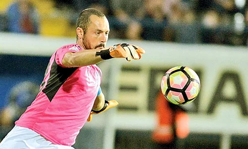 16 sport stancioiu rps 6233 jpeg