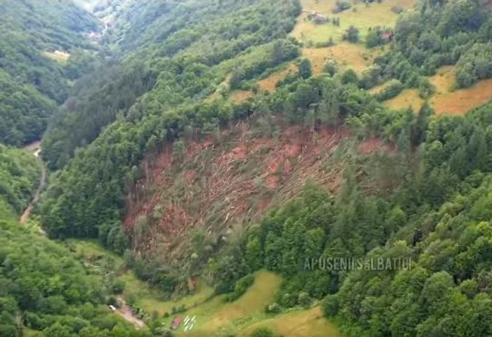 Vântul a pus la pământ un întreg versant acoperit cu pădure FOTO captură video Facebook