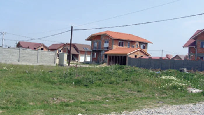 Arad: Vilele de la sat cresc pe câmp de criză