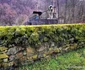 Stavilarul de la Govajdia ianuarie 2023 Foto Daniel Guță ADEVĂRUL (10) jpg