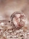 diamant   diamond g732d00f44 1280 jpg