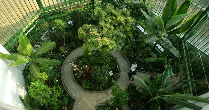 Grădina Botanică din Bucureşti a găzduit patru zile de curăţenie FOTO Adevărul