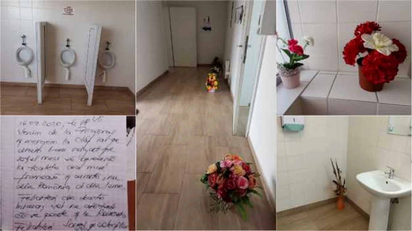 Florile sunt o prezenţă obişnuită în parcările de pe autostrada A10