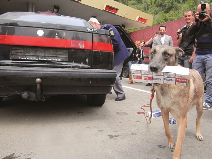 Contrabandiştii de ţigări îşi modifică autoturismele personale şi apelează la metode inedite pentru a păcăli vigilenţa poliţiştilor de frontieră