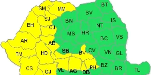 cod galben de vant si ninsori