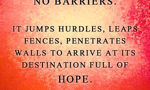 Andreea Marin (foto: facebook) jpeg