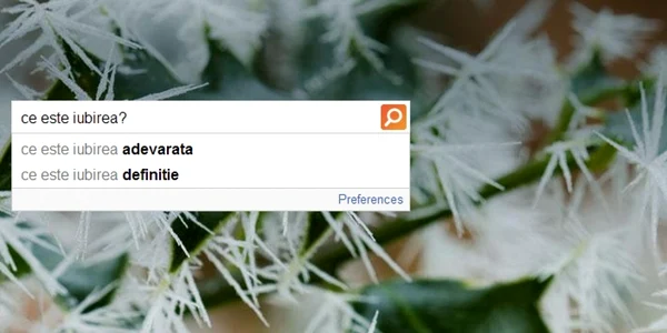 ce este iubirea cautare bing foto adevarul