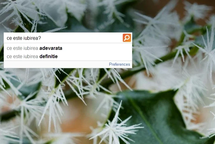 ce este iubirea cautare bing foto adevarul