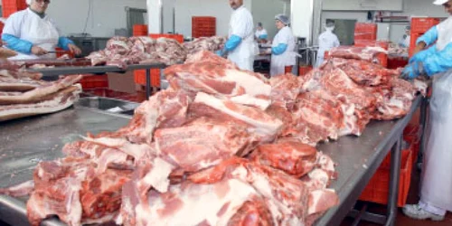 Industria cărnii de porc, pregătită de relansare