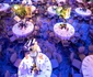 37 atmosfera de lux eco la bafta 2020 8 jpg jpeg