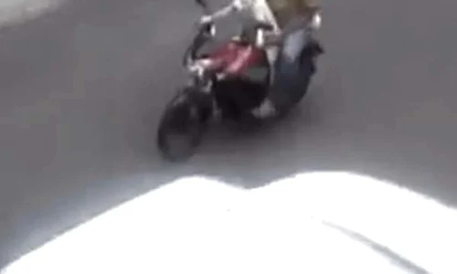 caine pe motocicleta jpeg