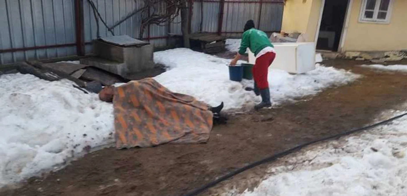 Bătrânul a murit în chinuri  FOTO: vrancea24