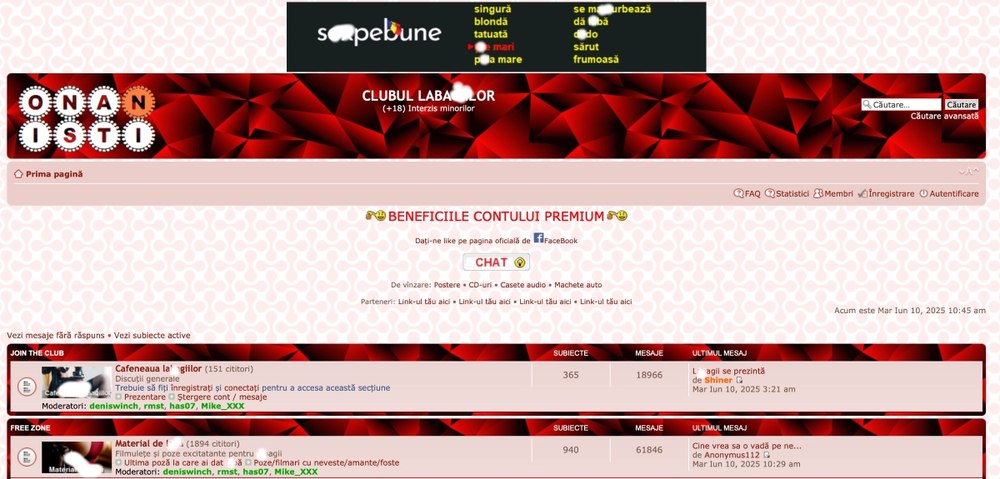 Platforma care distribuia ilegal imagini indecente cu femei funcţiona din 2016. Principalul suspect, un bărbat din Constanţa autointitulat „Zeul Internetului”