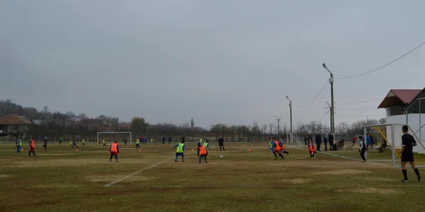 fotbal vaslui cupa satelor