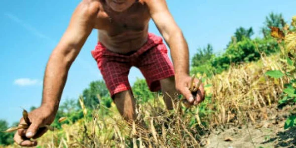 Seceta afectează culturile şi  ne lasă fără apă