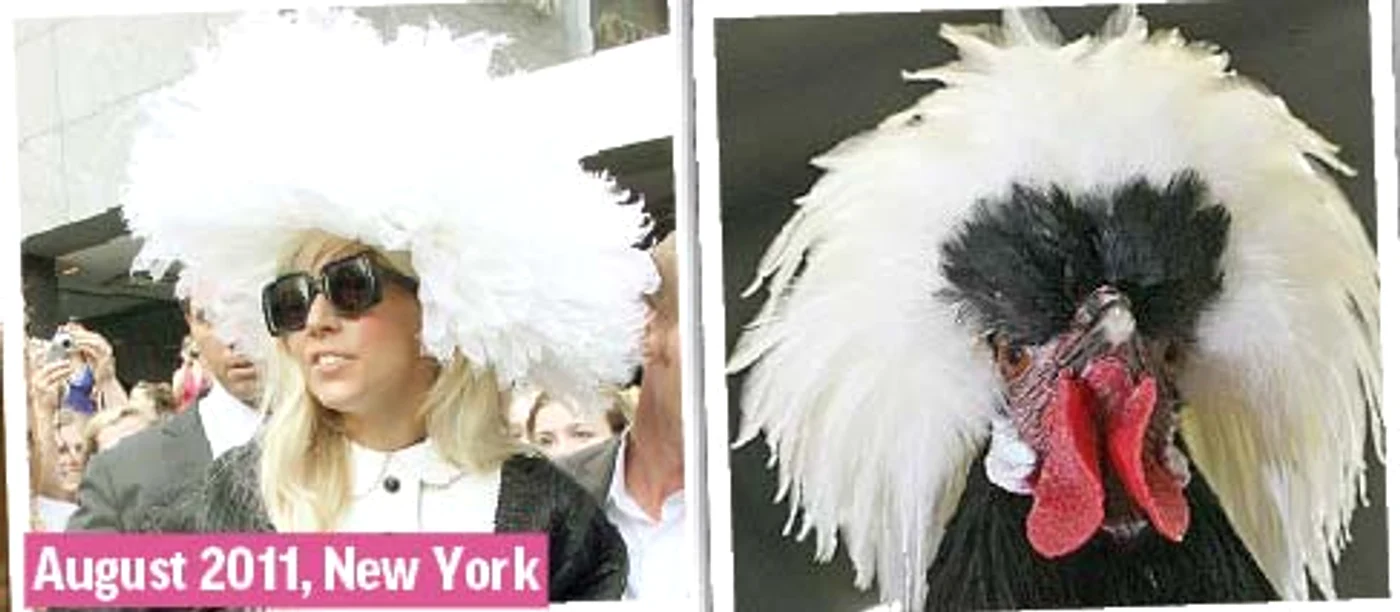 Martie 2014, New York (Fotografii: guliver/ splashnews/ photoland/ wenn/ reuters)