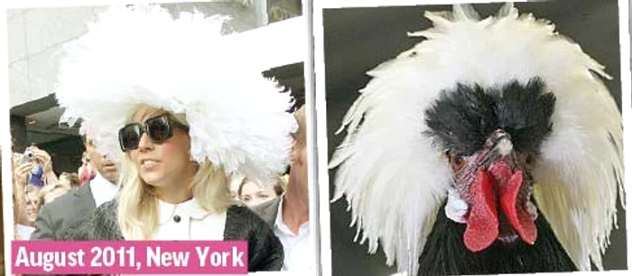 Martie 2014, New York (Fotografii: guliver/ splashnews/ photoland/ wenn/ reuters)