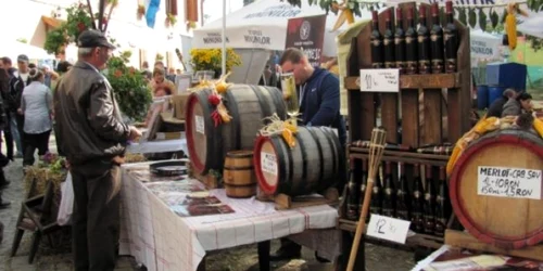 festivalul vinului