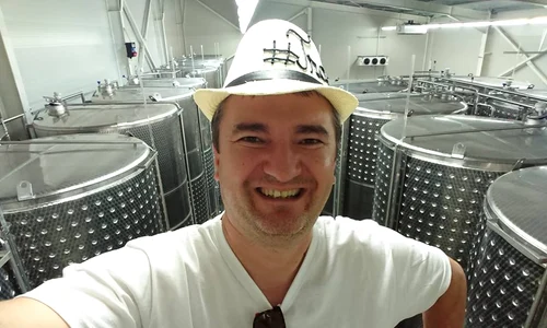 Dorin Chiotea Carmen drumul vinului Mures (6) jpeg