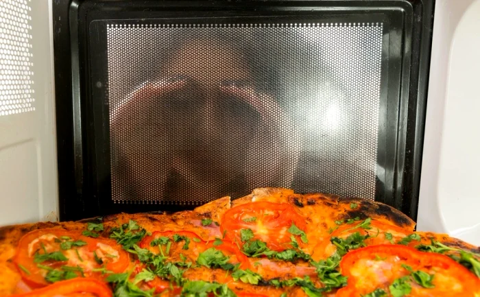 Fiecare aparat cu microunde are această piesă / foto: Arhiva